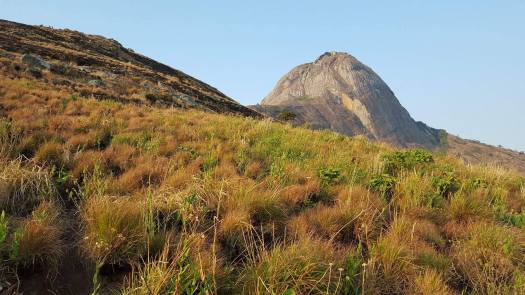 22812785_10214642787166637_2067670239_o