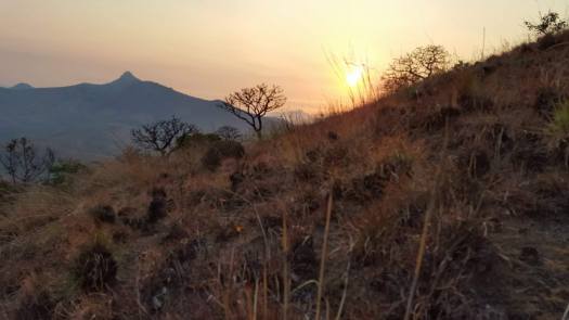 22833463_10214642789606698_1589570633_o