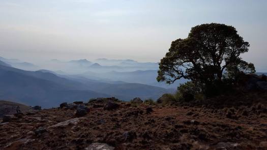 22879115_10214642788166662_246028394_o